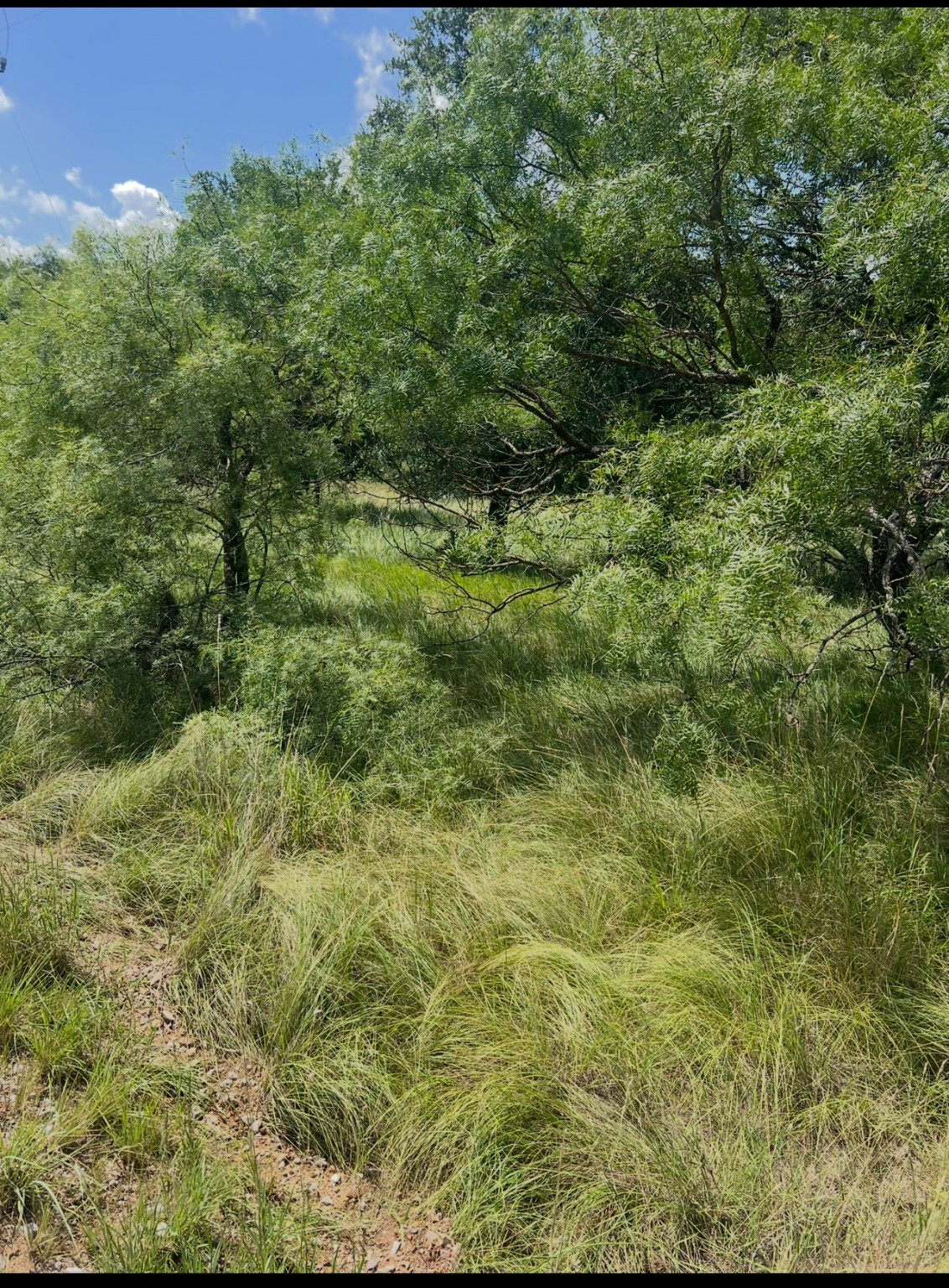 Lot 821 Oak Point Drive May TX 76857