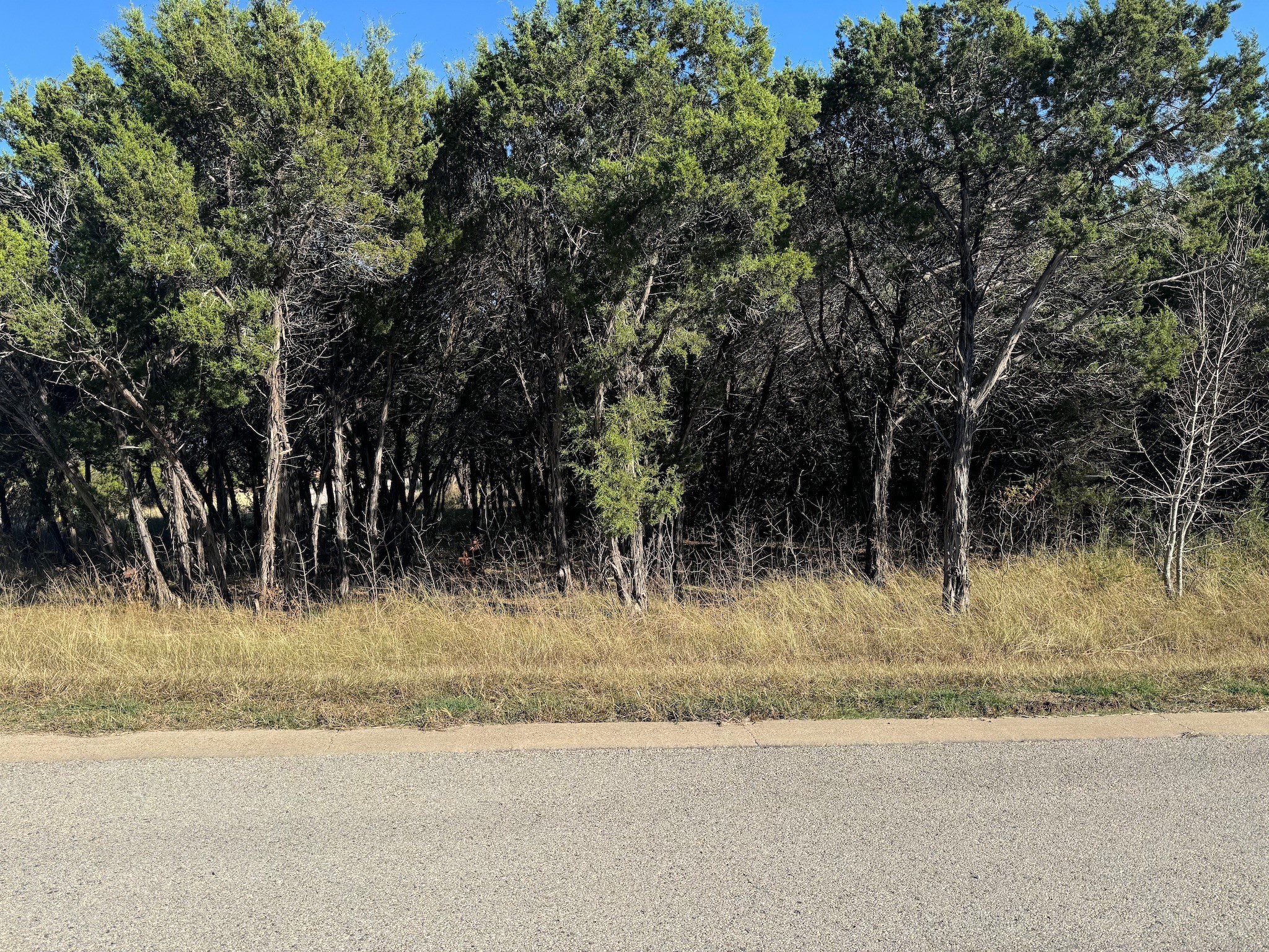 6101 Valderrama Drive Cleburne TX 76033