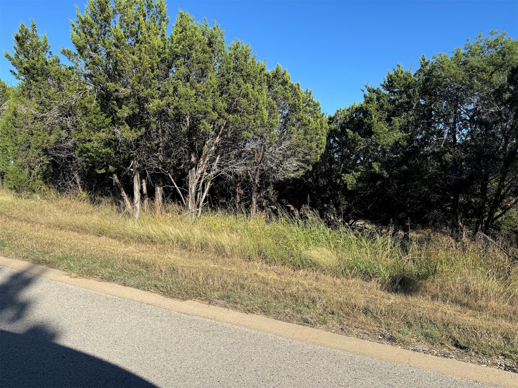 6101 Valderrama Drive Cleburne TX 76033