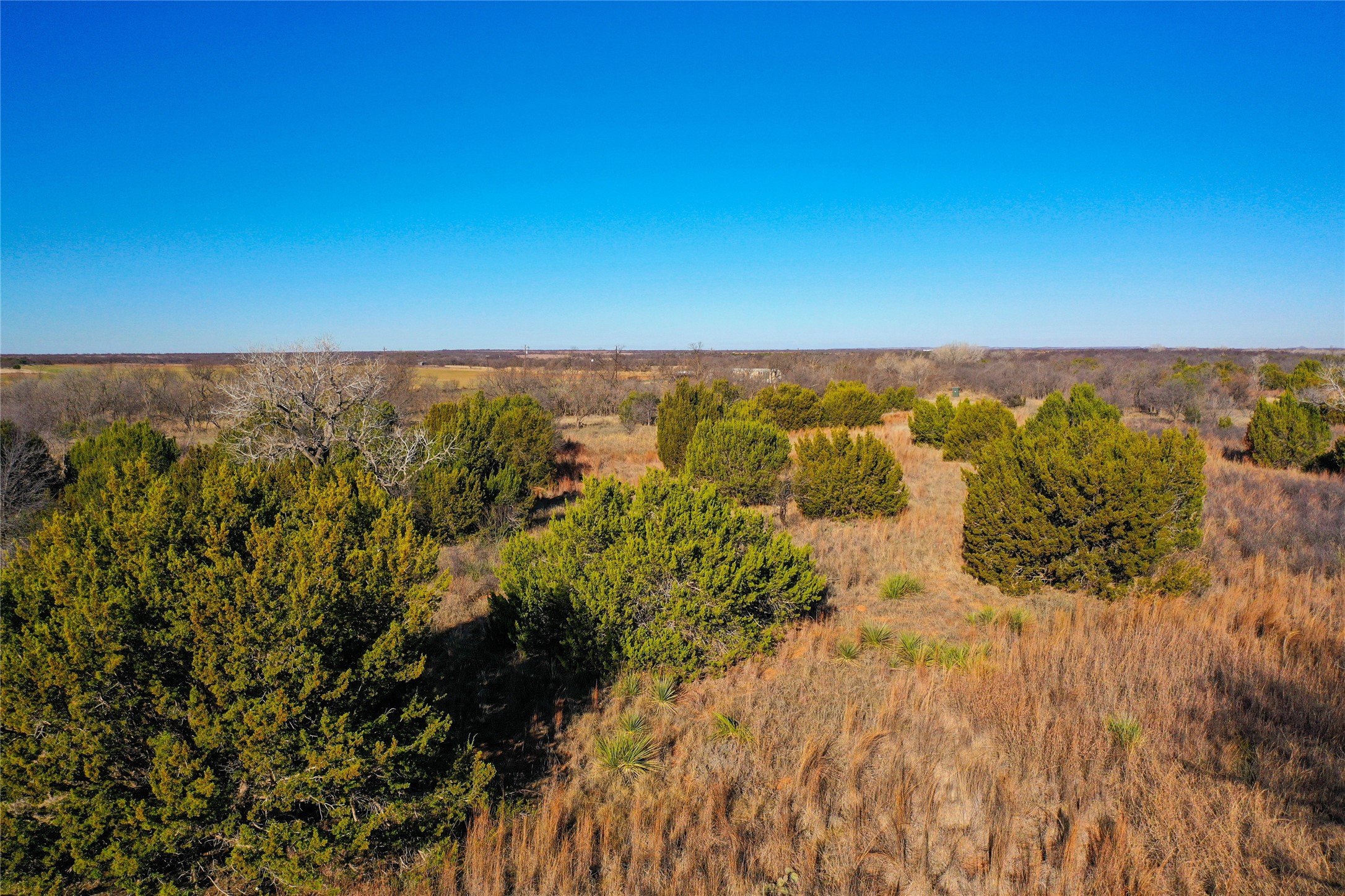 Tbd Cr 148 Rule TX 79547