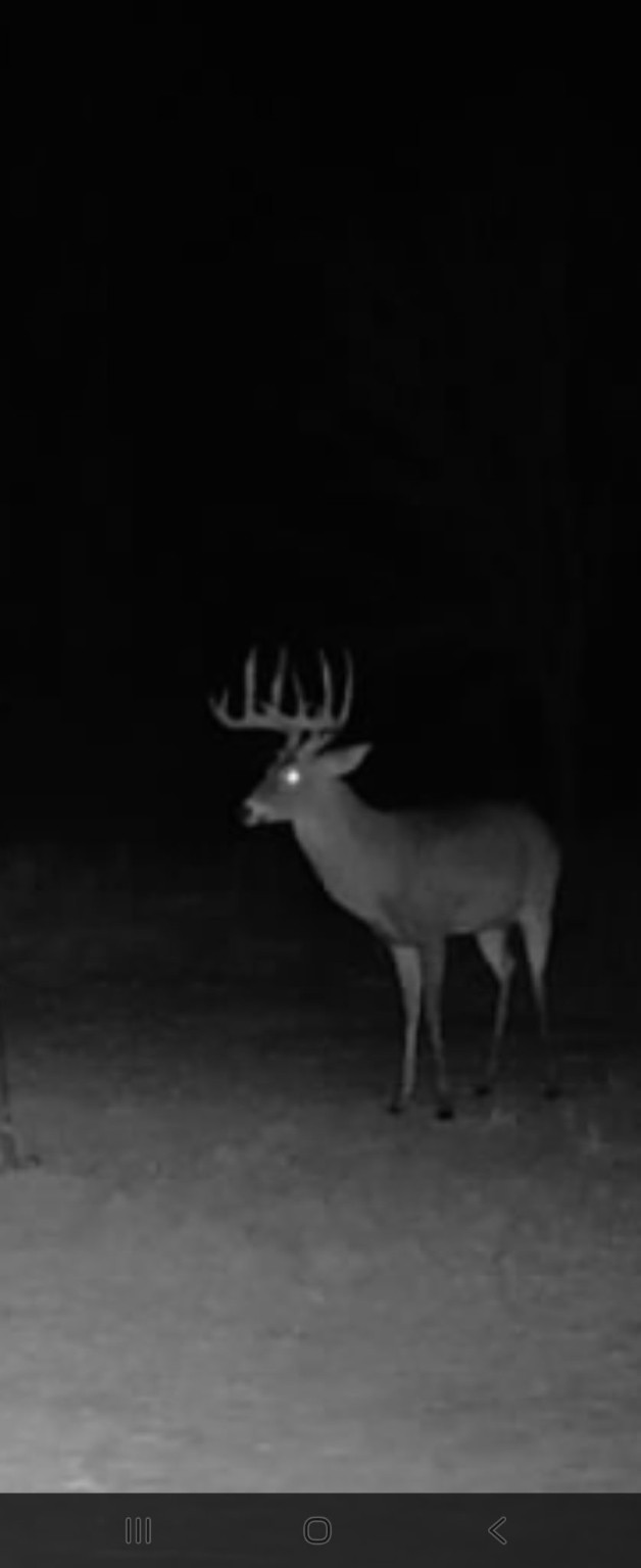 Tbd Cr 148 Rule TX 79547