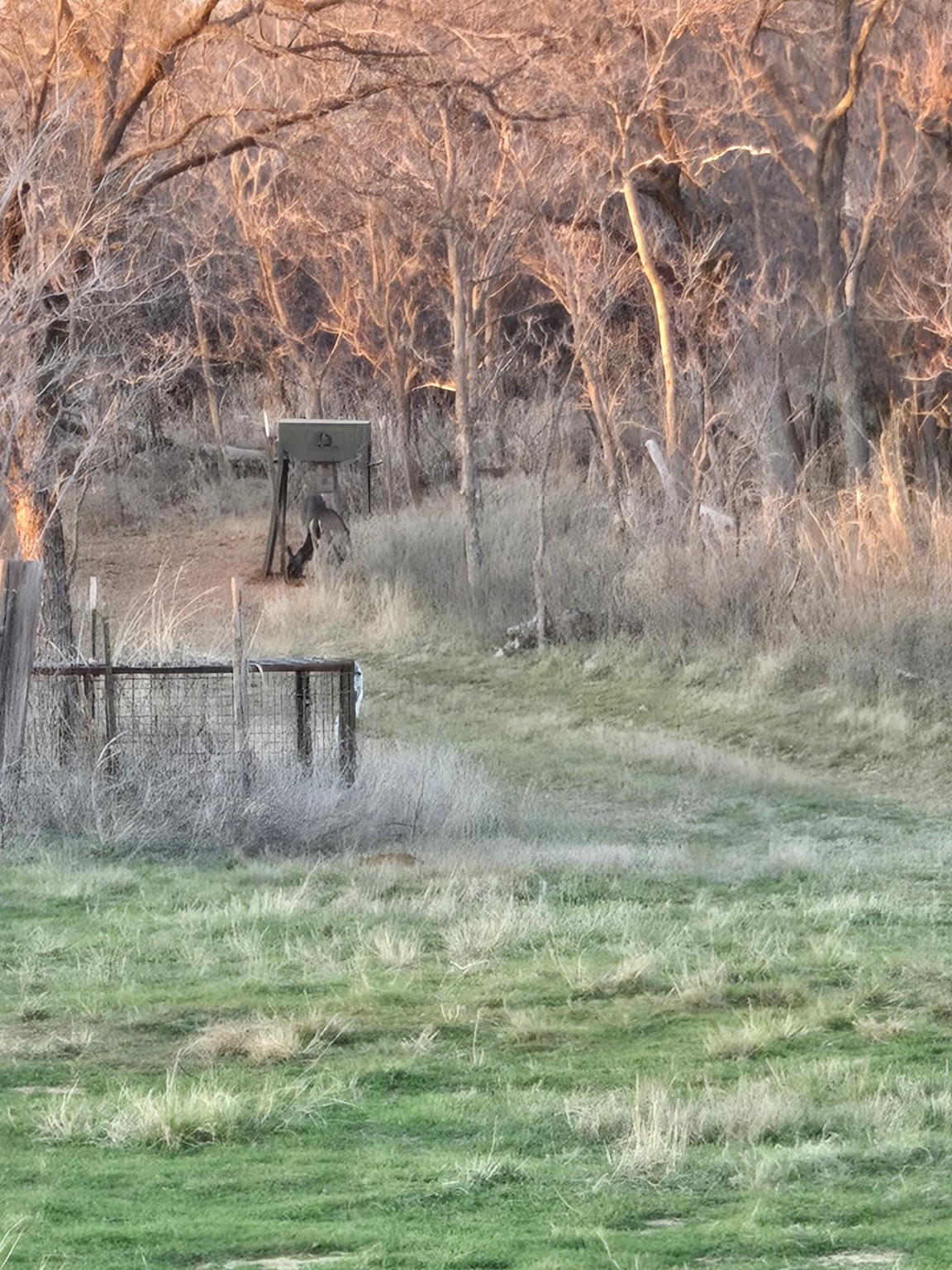 Tbd Cr 148 Rule TX 79547