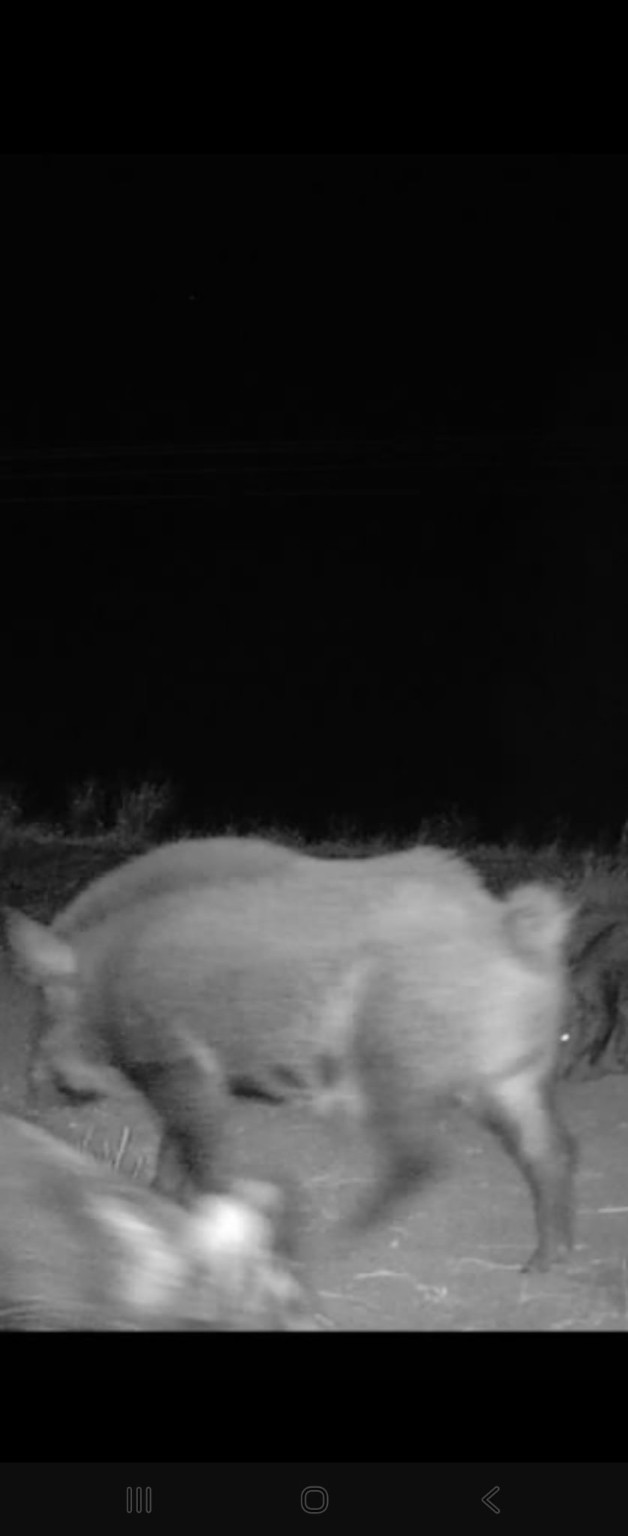 Tbd Cr 148 Rule TX 79547
