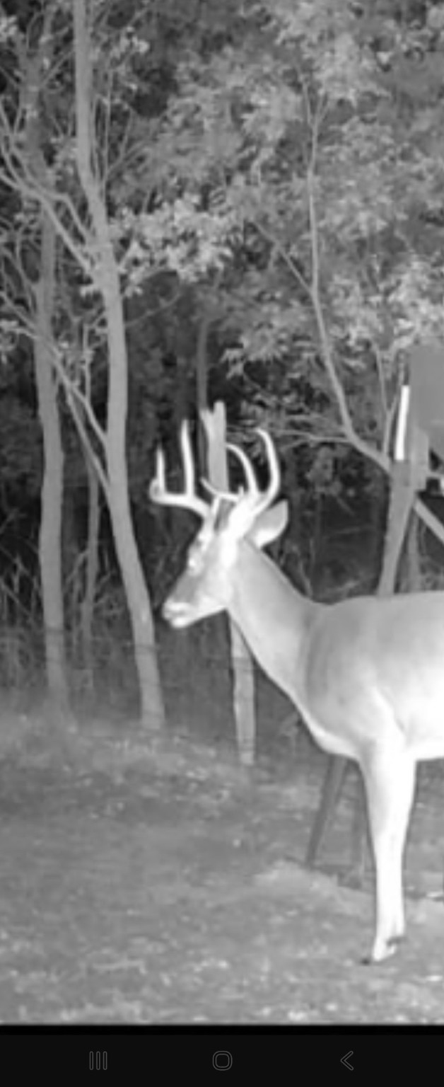 Tbd Cr 148 Rule TX 79547