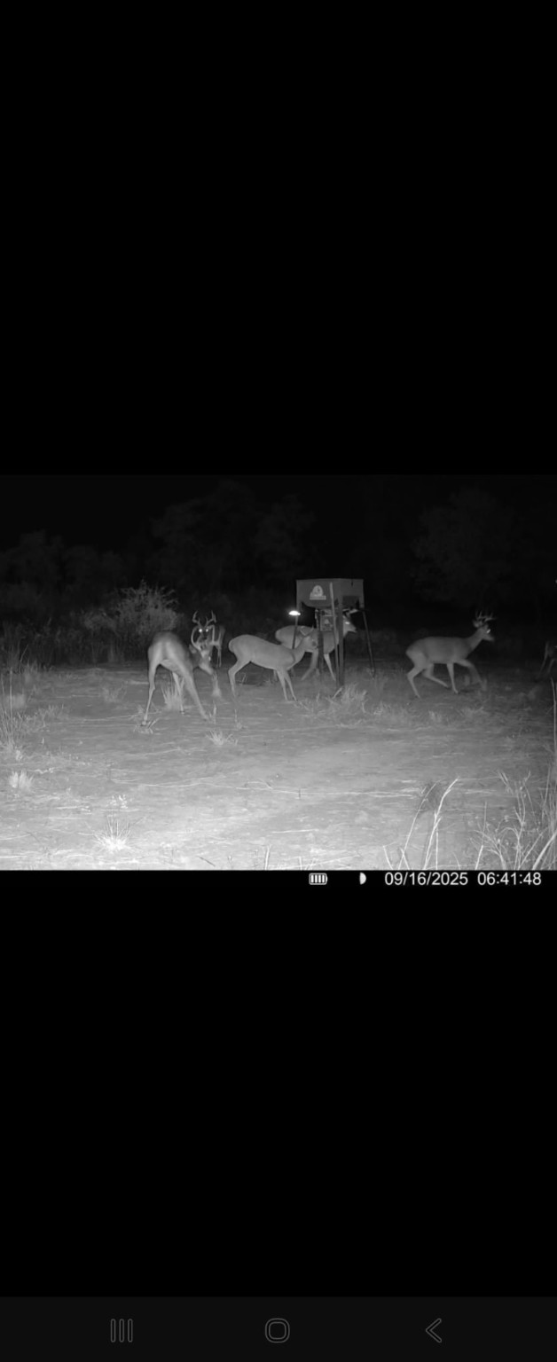 Tbd Cr 148 Rule TX 79547