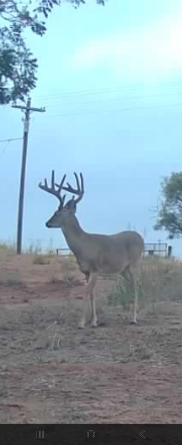 Tbd Cr 148 Rule TX 79547