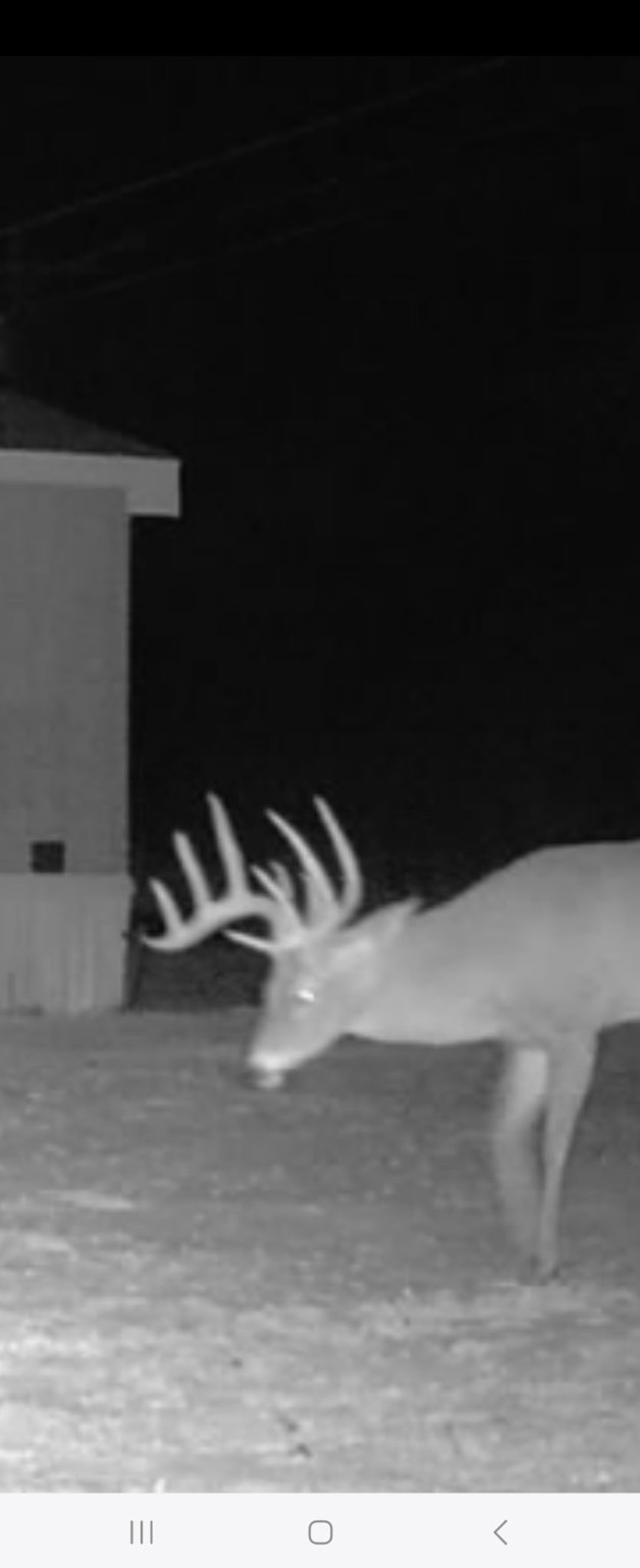 Tbd Cr 148 Rule TX 79547