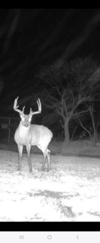 TBD Cr 148 Rule TX 79547