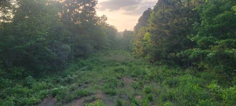 Tbd County Road 430 Carthage TX 75633