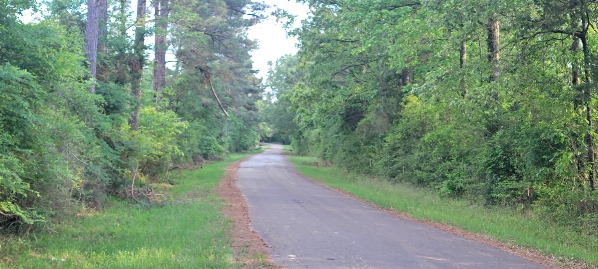 Tbd County Road 430 Carthage TX 75633