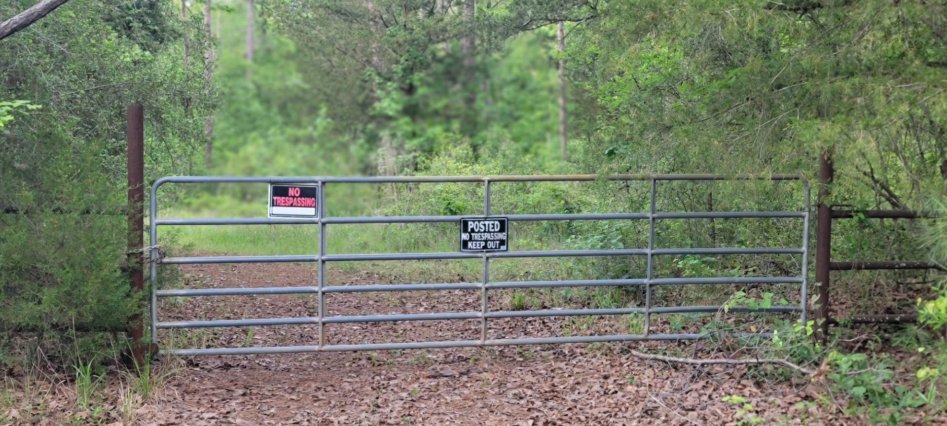 Tbd County Road 430 Carthage TX 75633