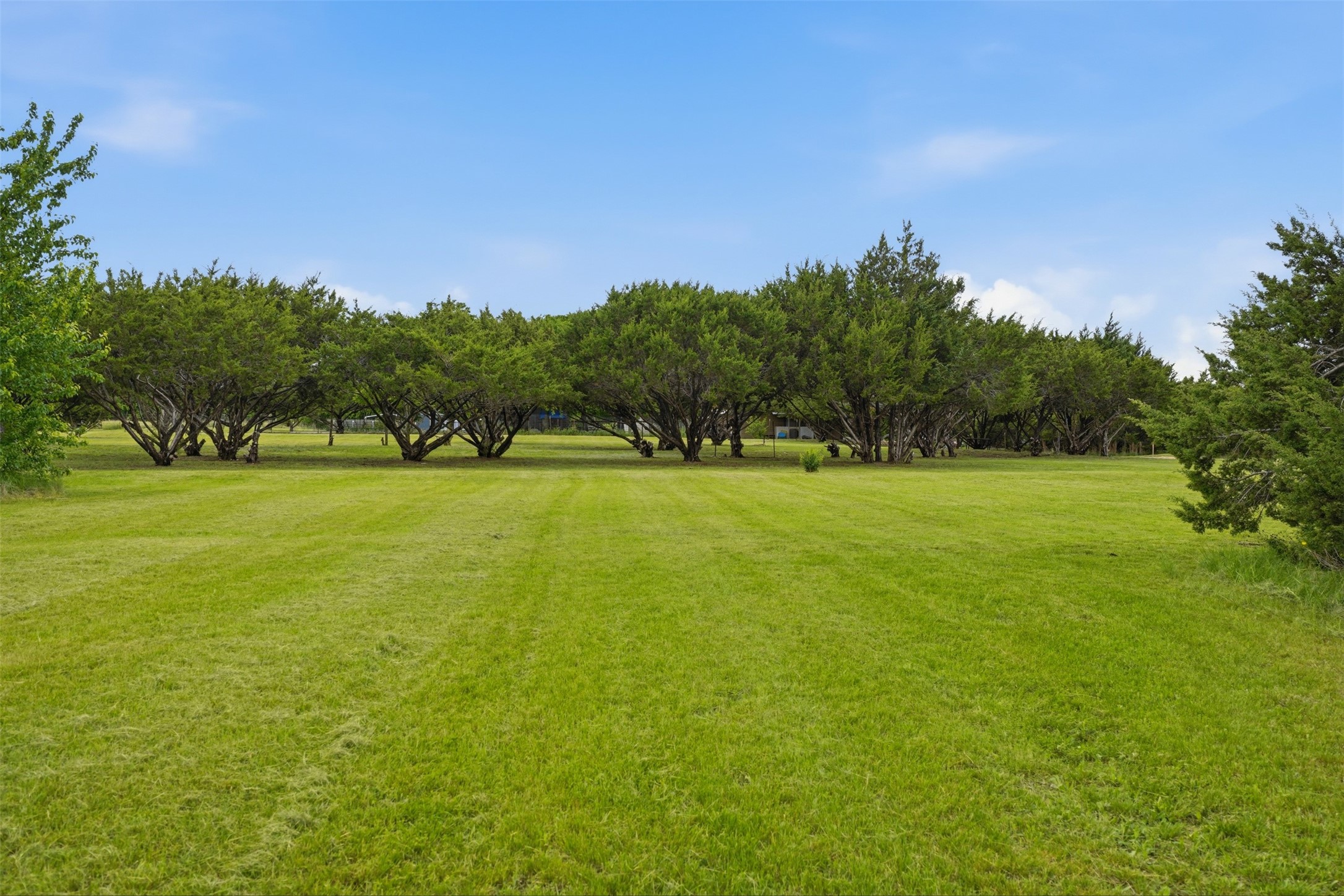 5505 Comanche Drive Godley TX 76044