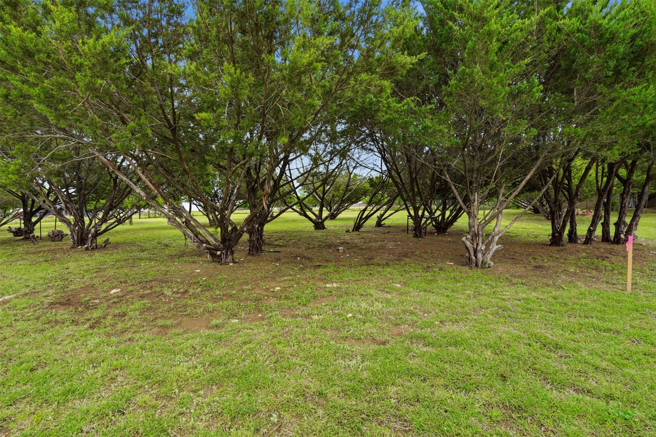 5505 Comanche Drive Godley TX 76044