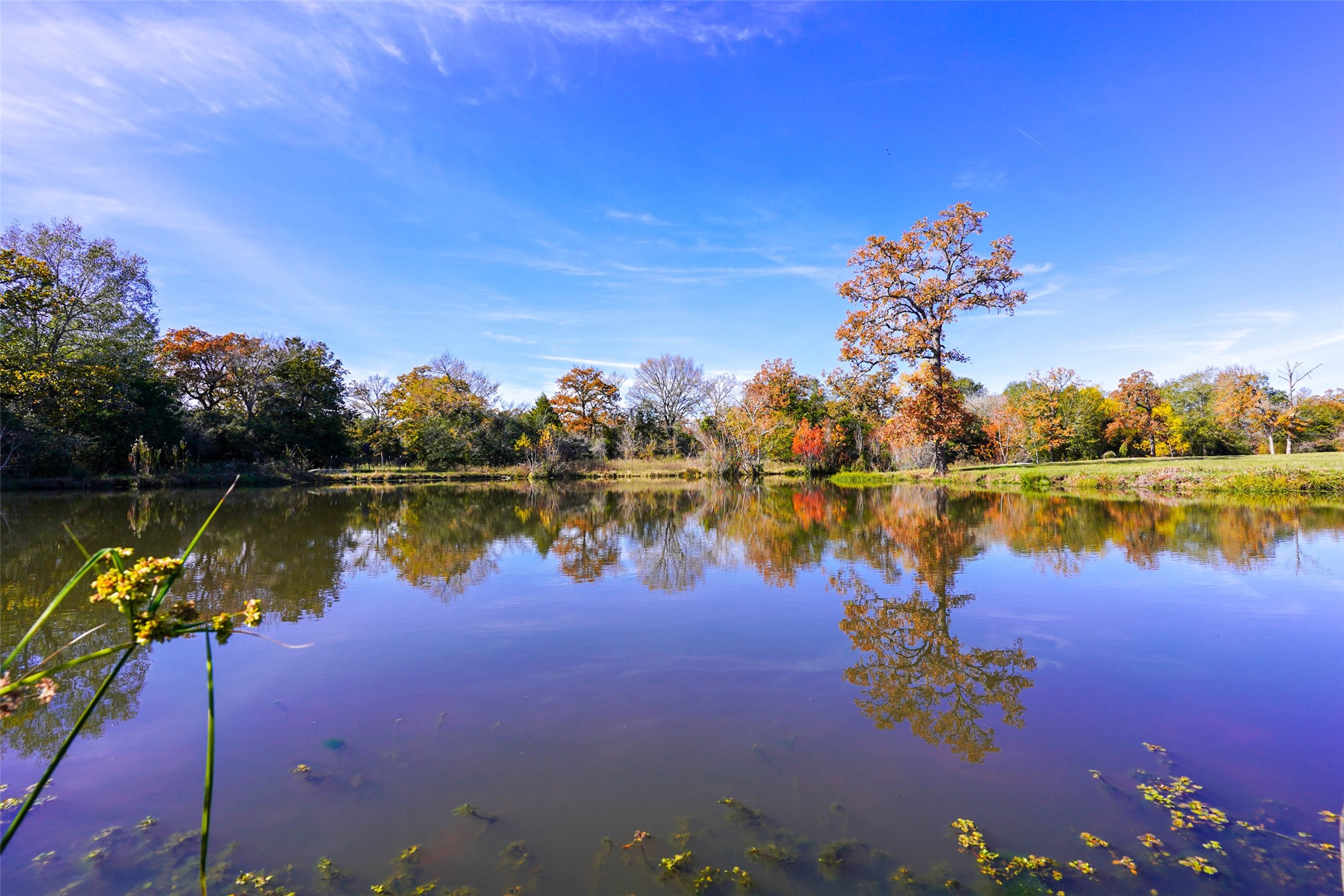 15438 Farm To Market 3090 Anderson TX 77830