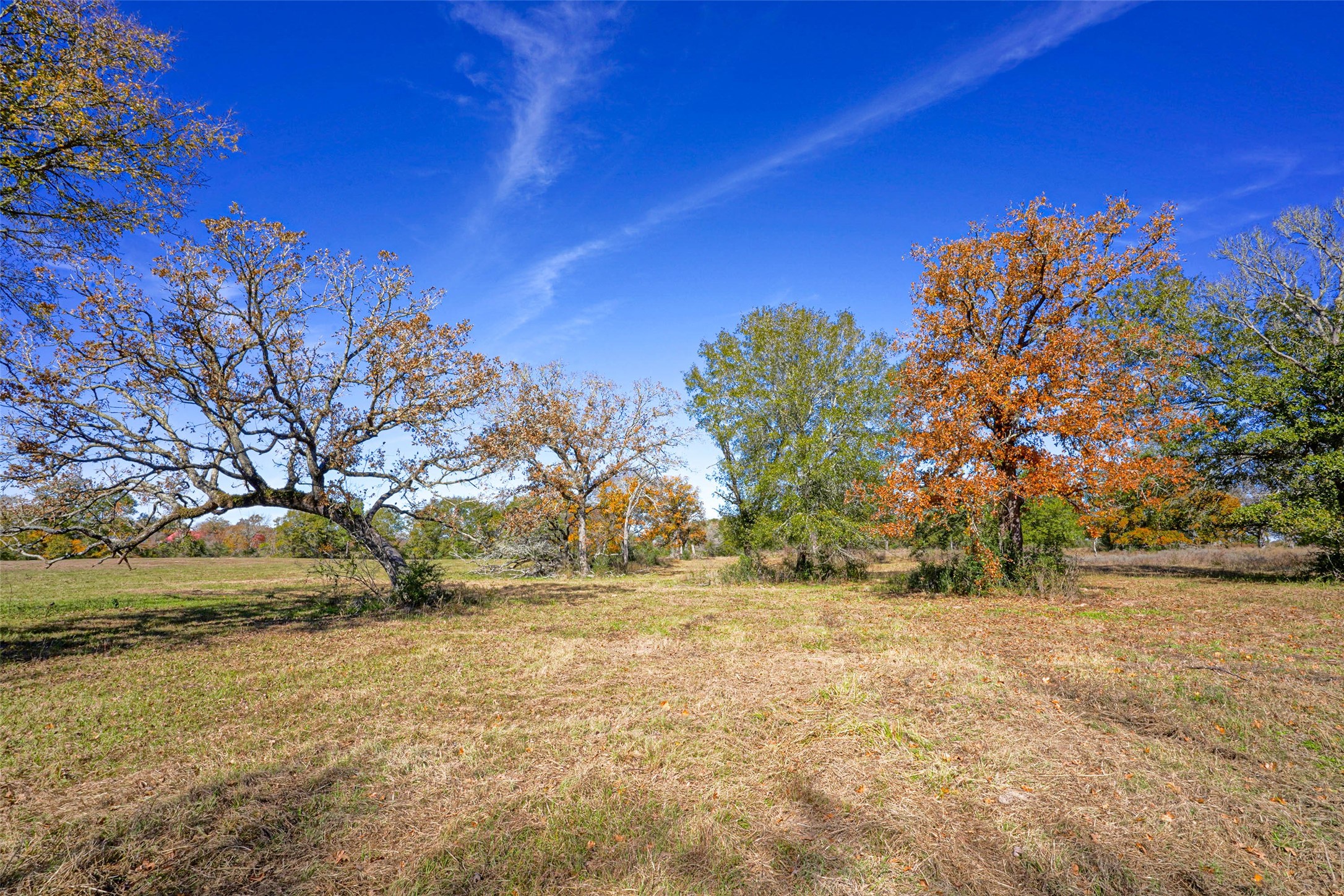 15438 Farm To Market 3090 Anderson TX 77830