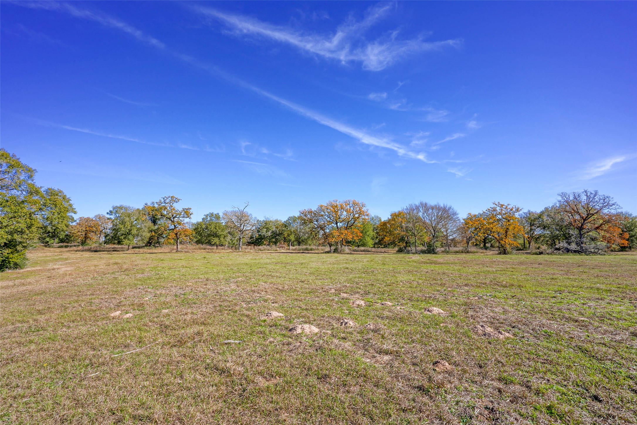 15438 Farm To Market 3090 Anderson TX 77830