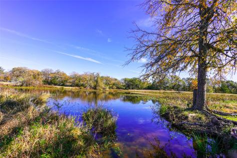 15438 Farm To Market 3090 Anderson TX 77830