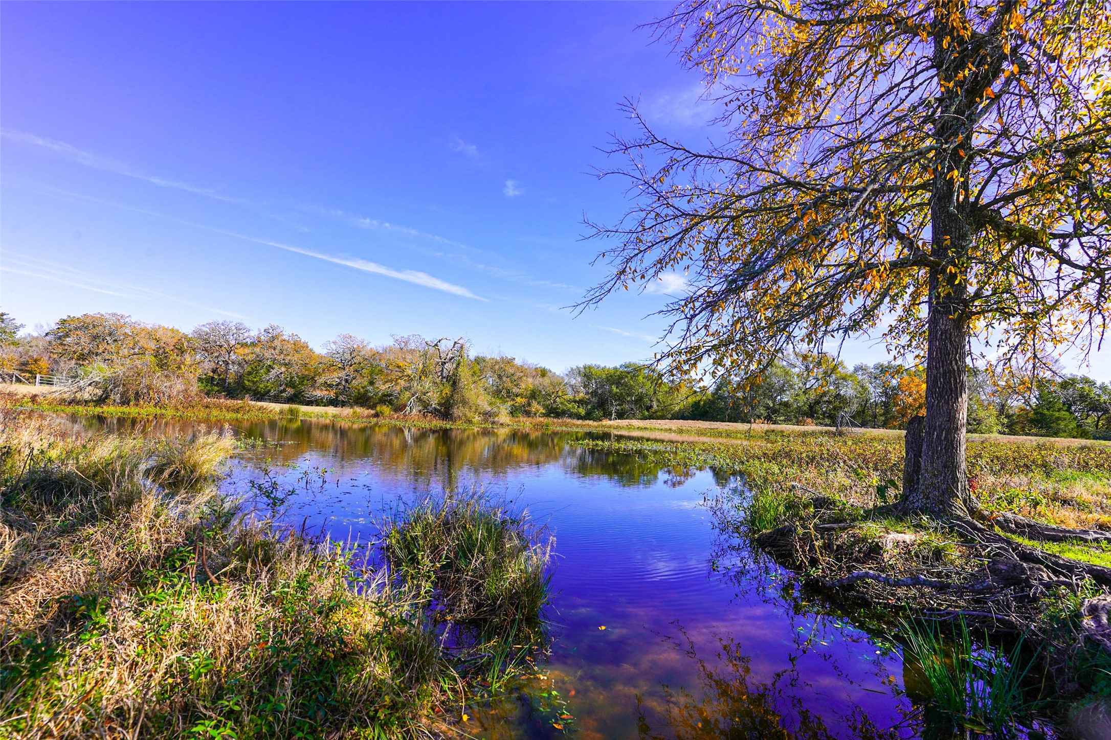 15438 Farm To Market 3090 Anderson TX 77830