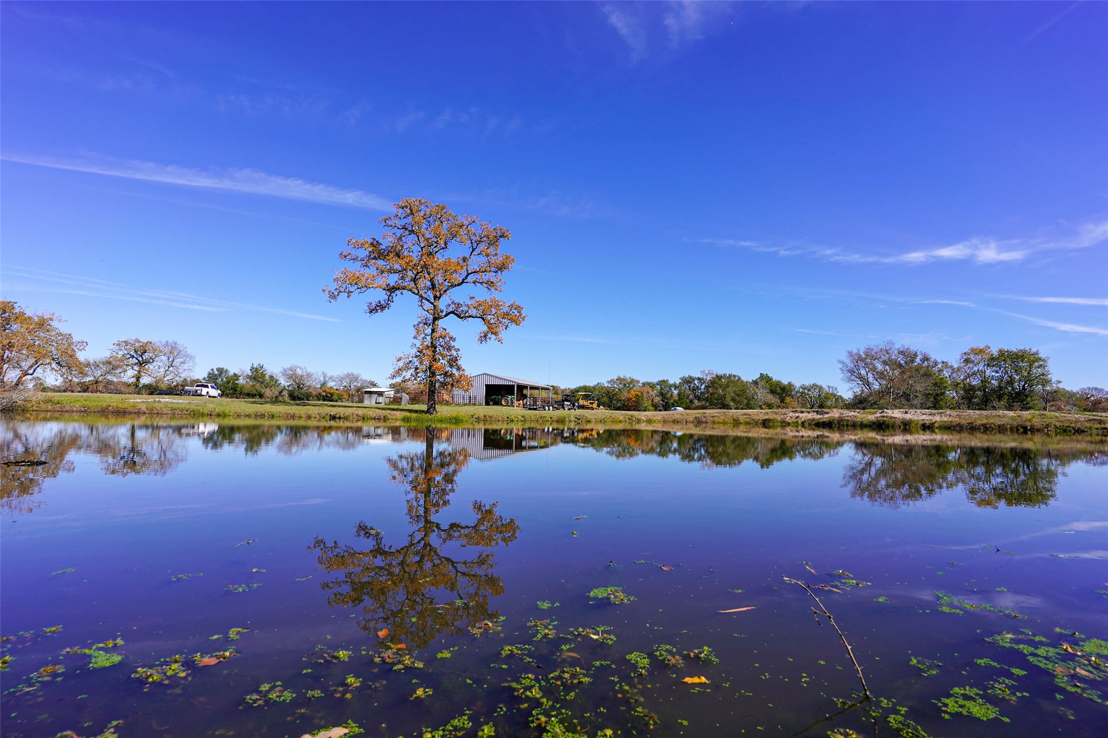 15438 Farm To Market 3090 Anderson TX 77830