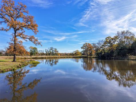 15438 Farm To Market 3090 Anderson TX 77830
