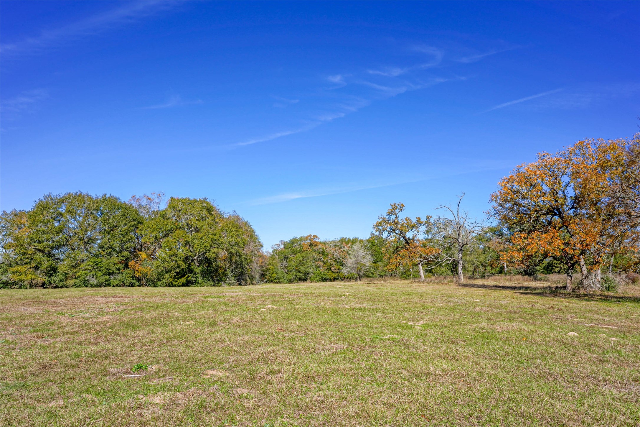 15438 Farm To Market 3090 Anderson TX 77830
