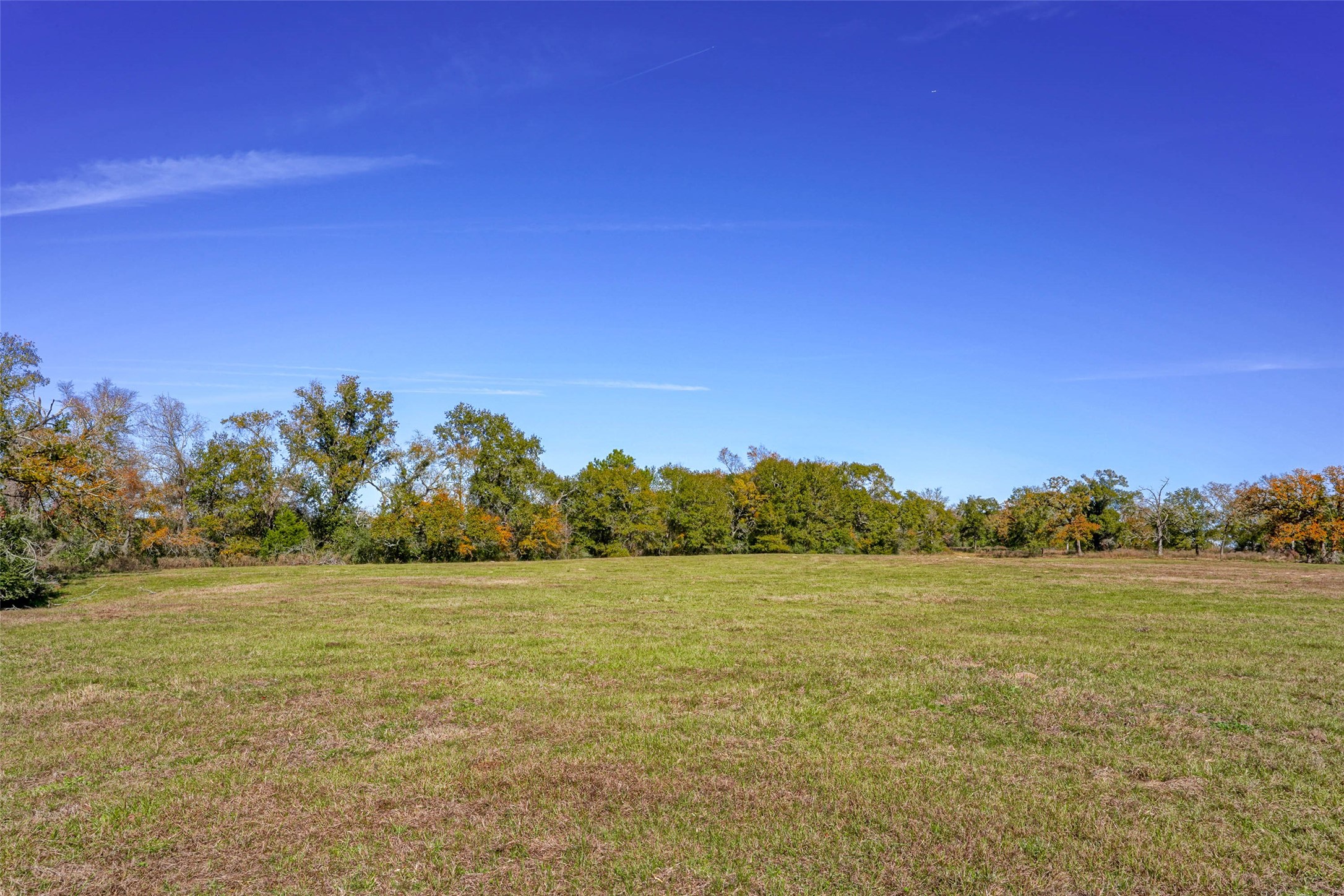 15438 Farm To Market 3090 Anderson TX 77830