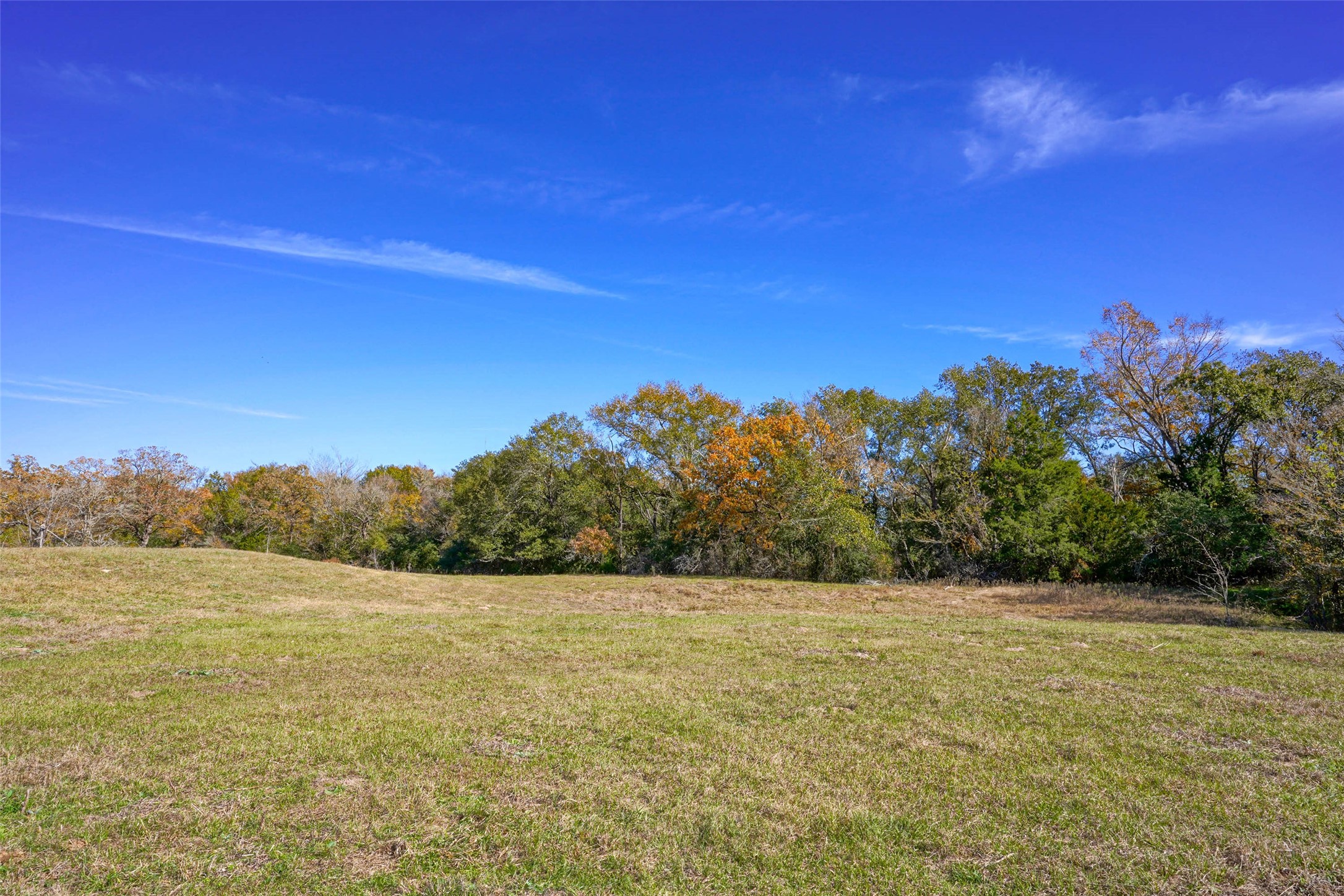 15438 Farm To Market 3090 Anderson TX 77830