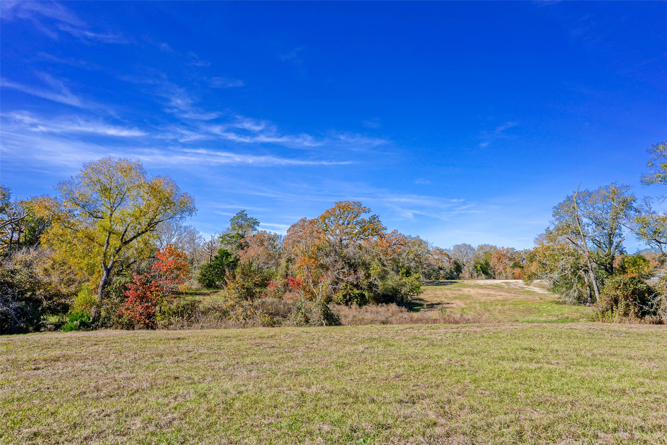 15438 Farm To Market 3090 Anderson TX 77830