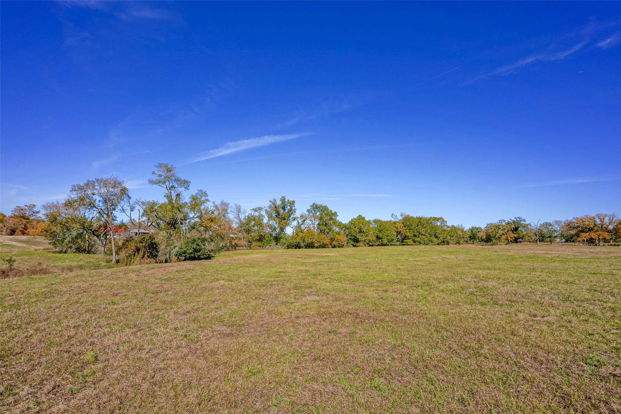 15438 Farm To Market 3090 Anderson TX 77830