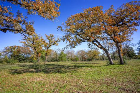 15438 Farm To Market 3090 Anderson TX 77830
