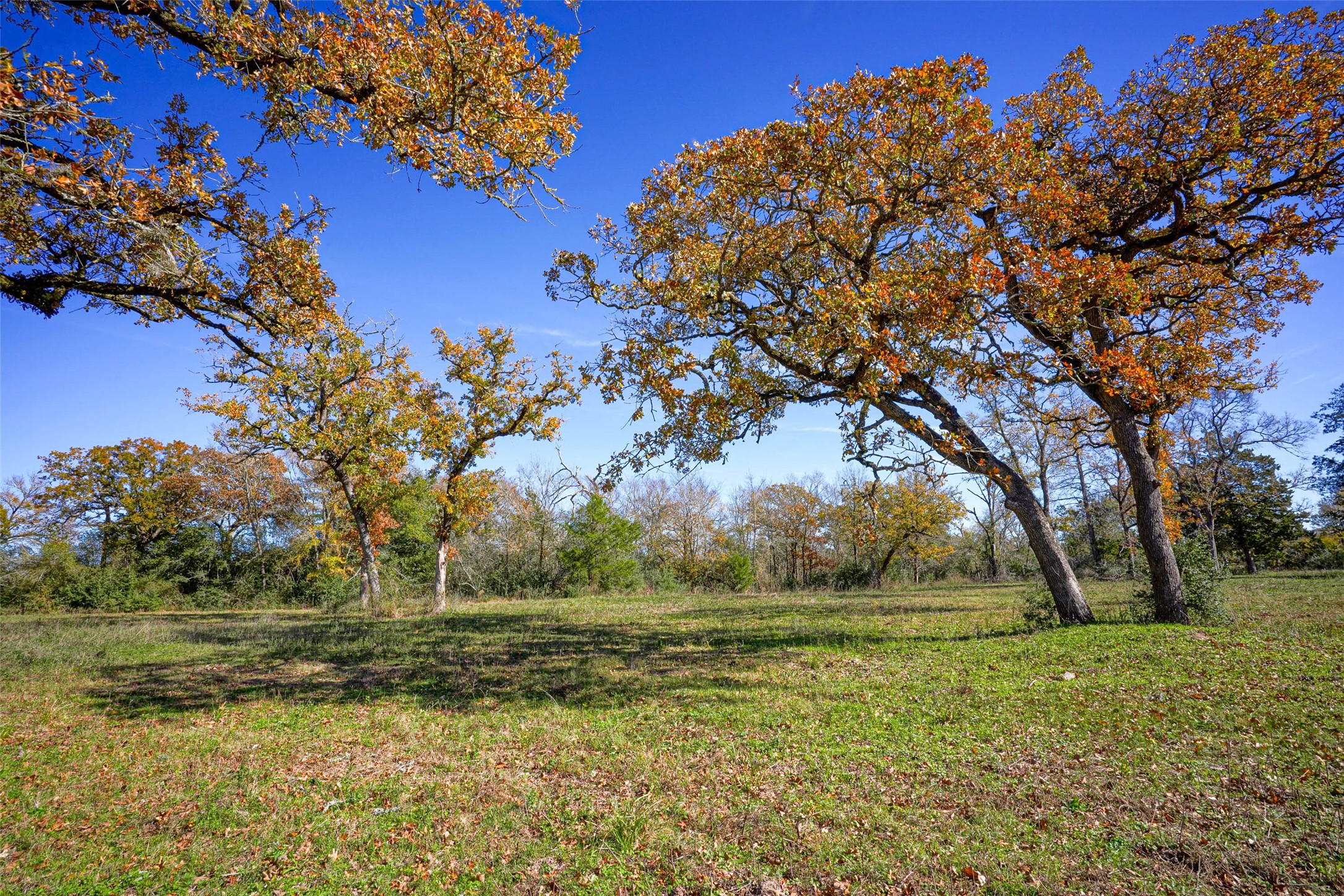 15438 Farm To Market 3090 Anderson TX 77830