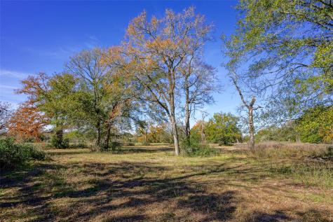 15438 Farm To Market 3090 Anderson TX 77830