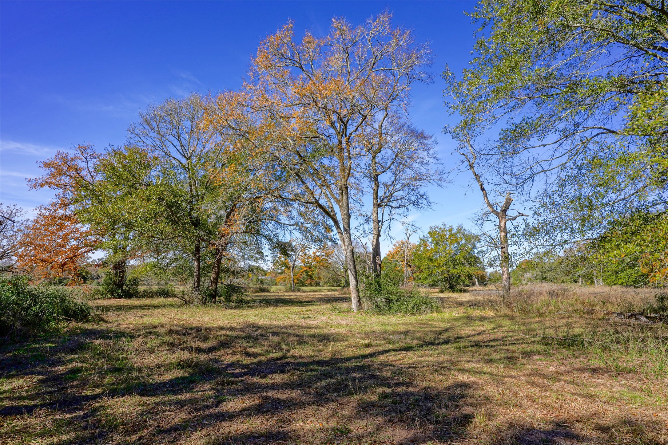 15438 Farm To Market 3090 Anderson TX 77830