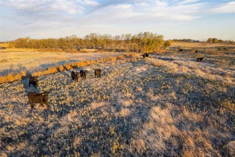 Lot Wp002 Cr 218 Gainesville TX 76240