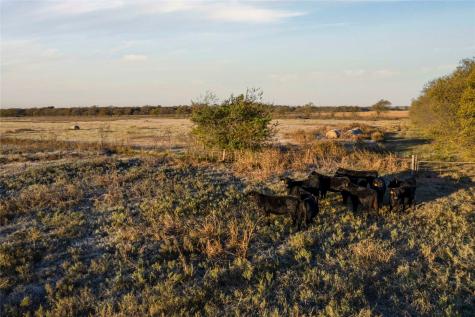 Lot Wp002 Cr 218 Gainesville TX 76240