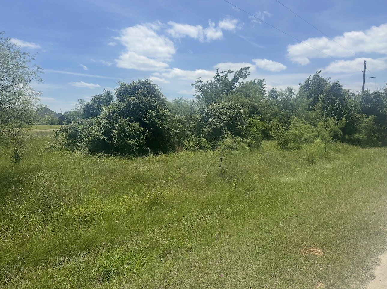 23142 Greenbriar Drive Whitney TX 76692