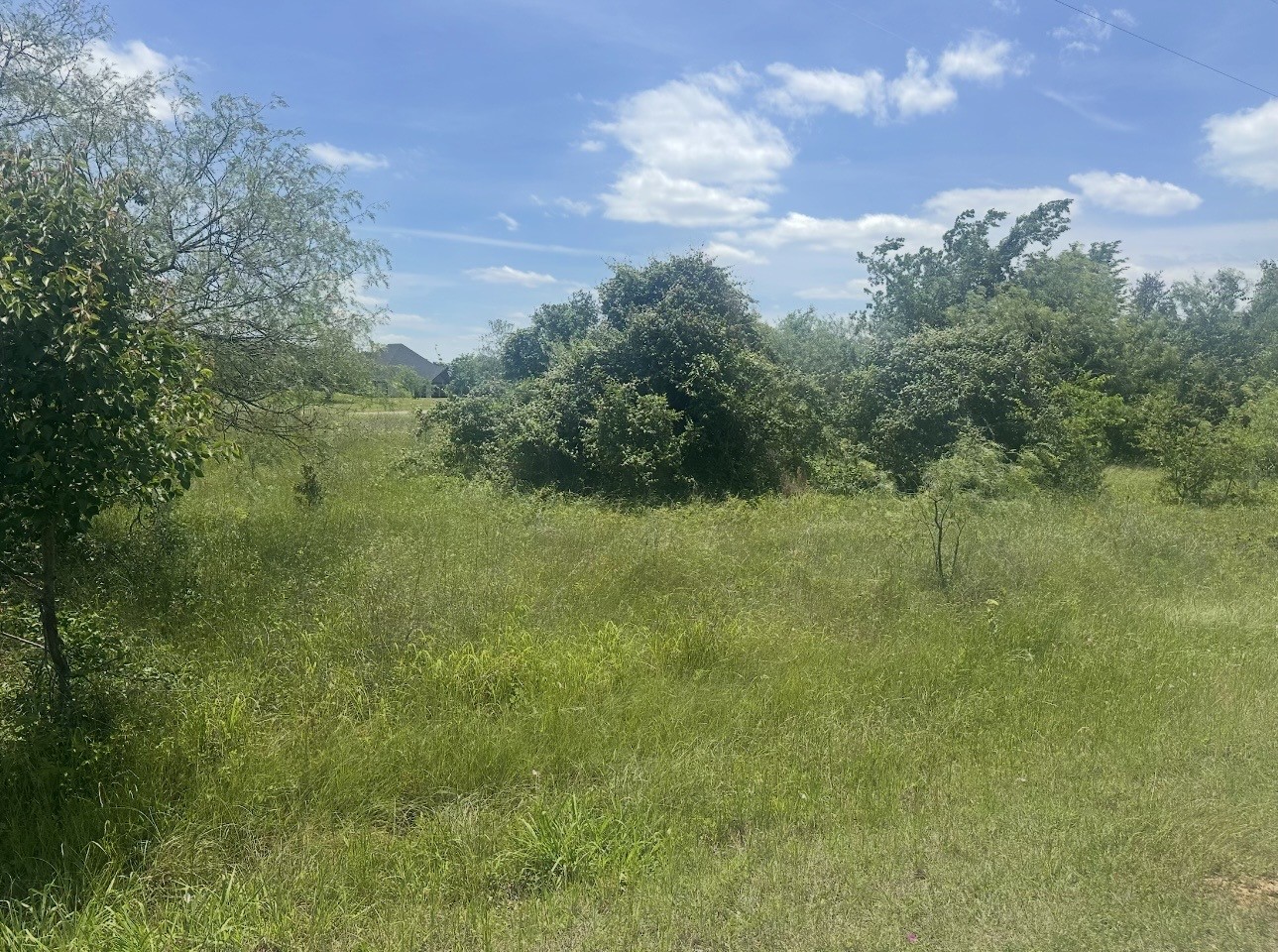 23142 Greenbriar Drive Whitney TX 76692