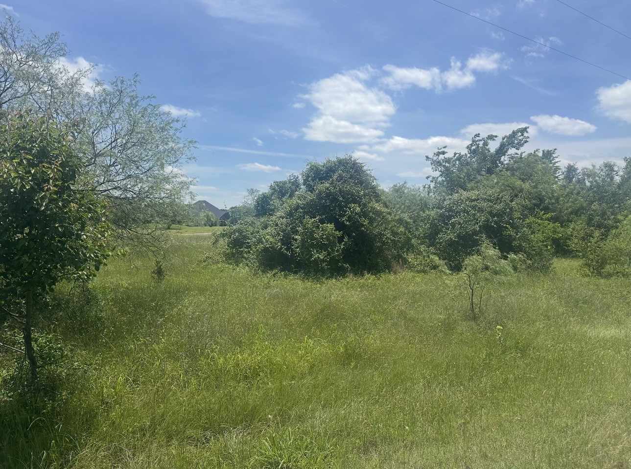 23142 Greenbriar Drive Whitney TX 76692