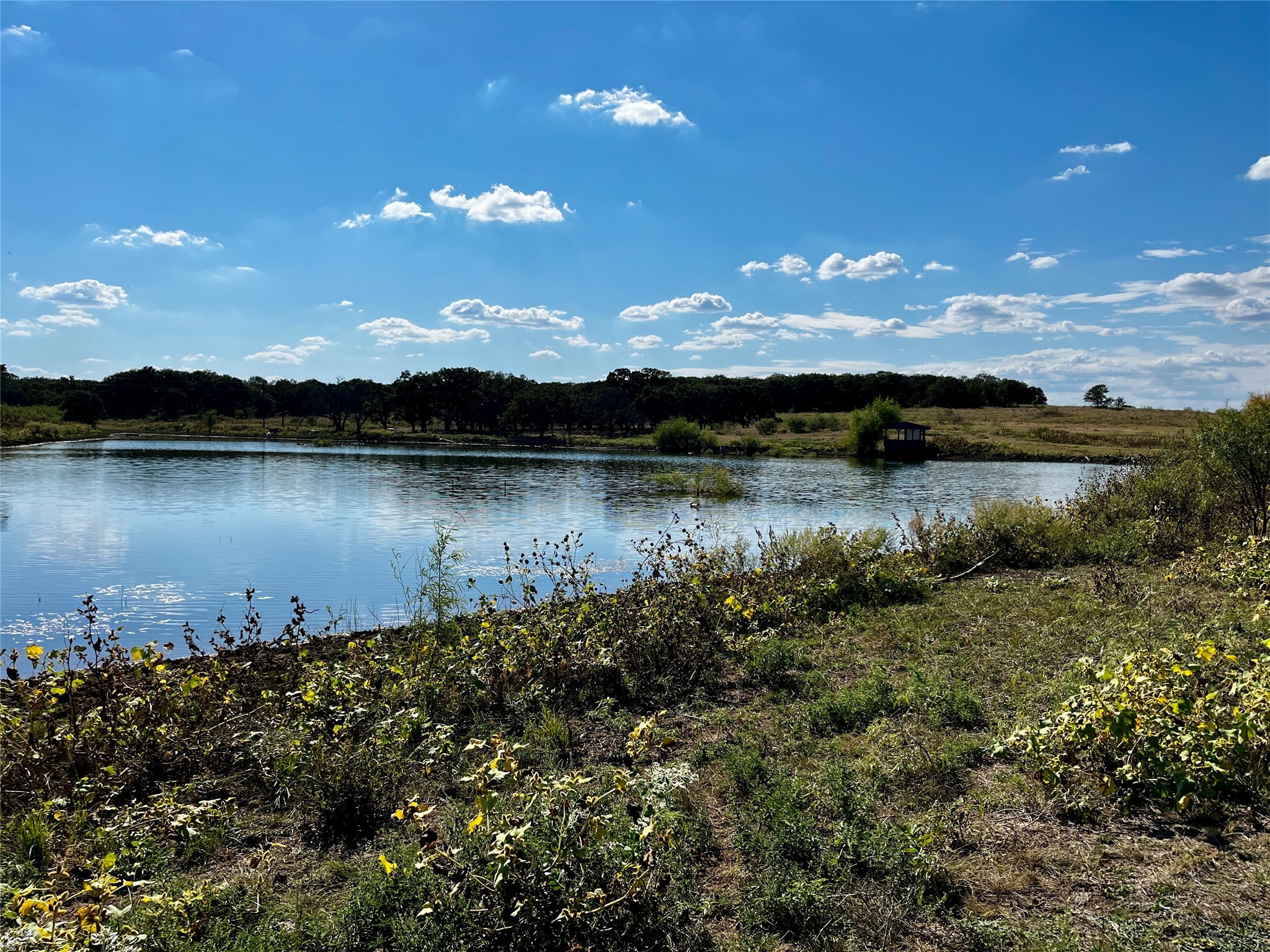 3026 S Farm To Market Road 4 Jacksboro TX 76458