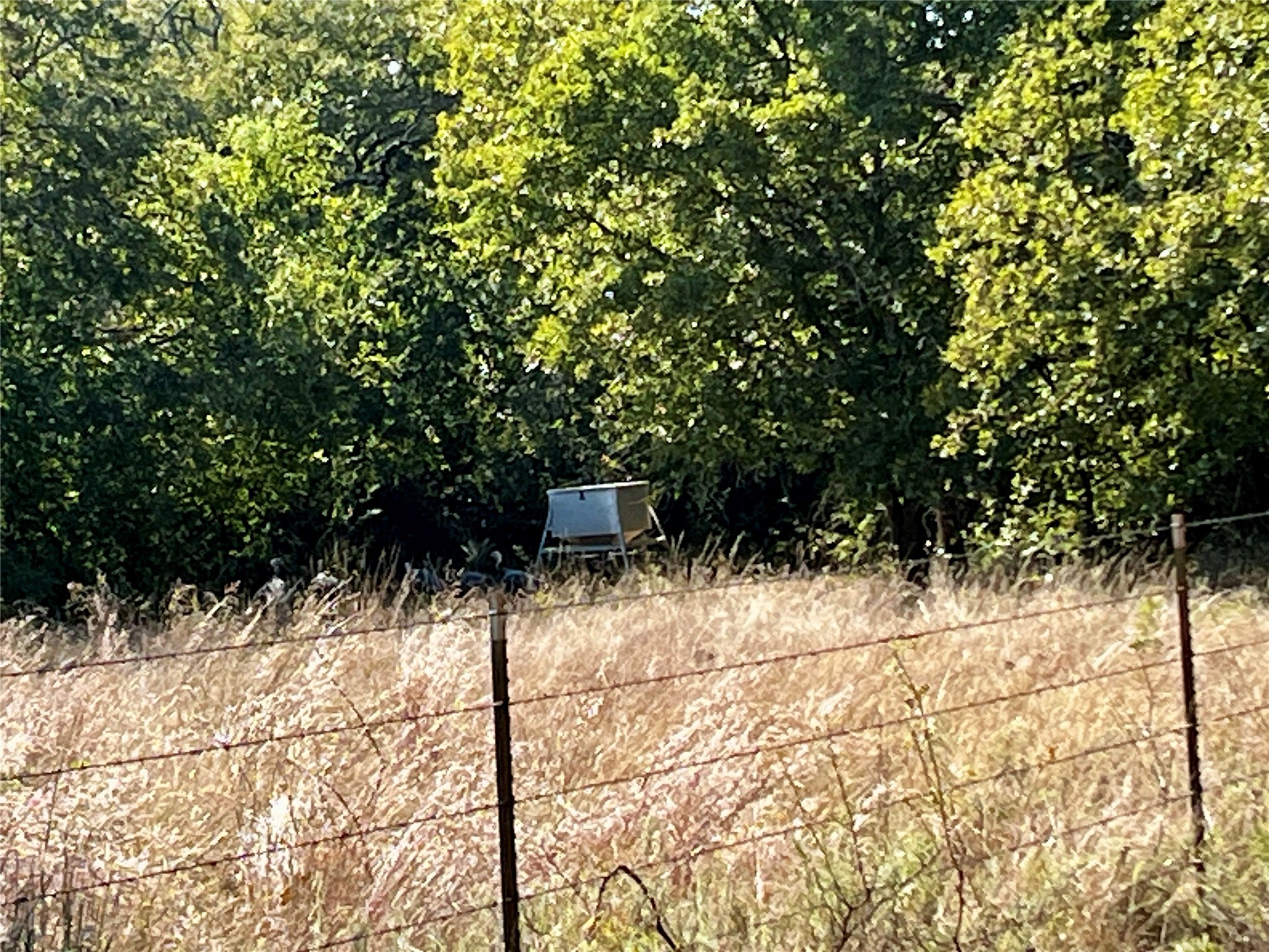 3026 S Farm To Market Road 4 Jacksboro TX 76458