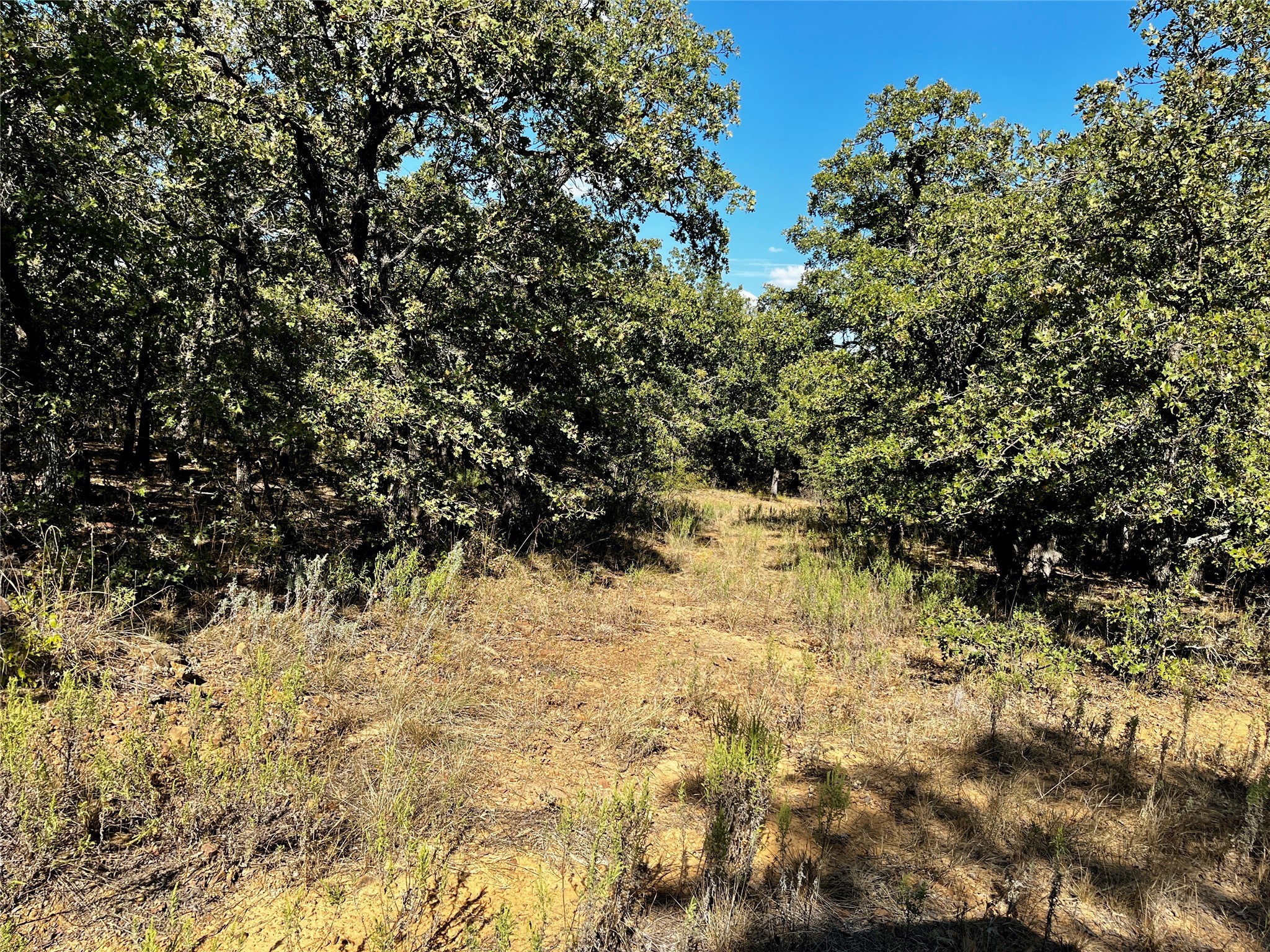 3026 S Farm To Market Road 4 Jacksboro TX 76458
