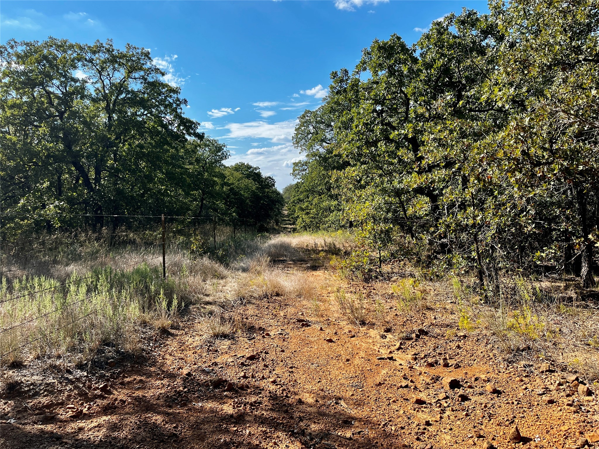 3026 S Farm To Market Road 4 Jacksboro TX 76458