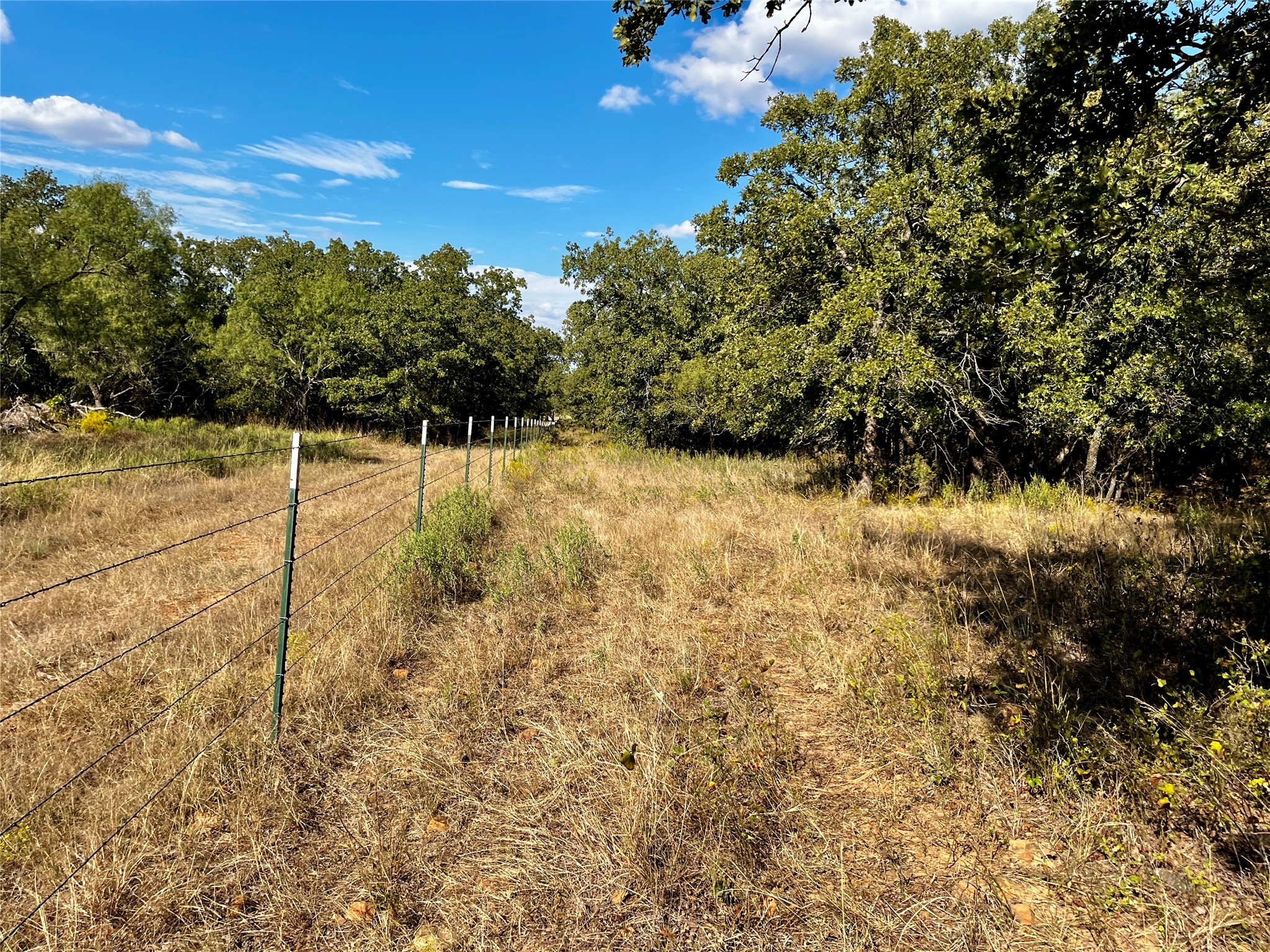 3026 S Farm To Market Road 4 Jacksboro TX 76458