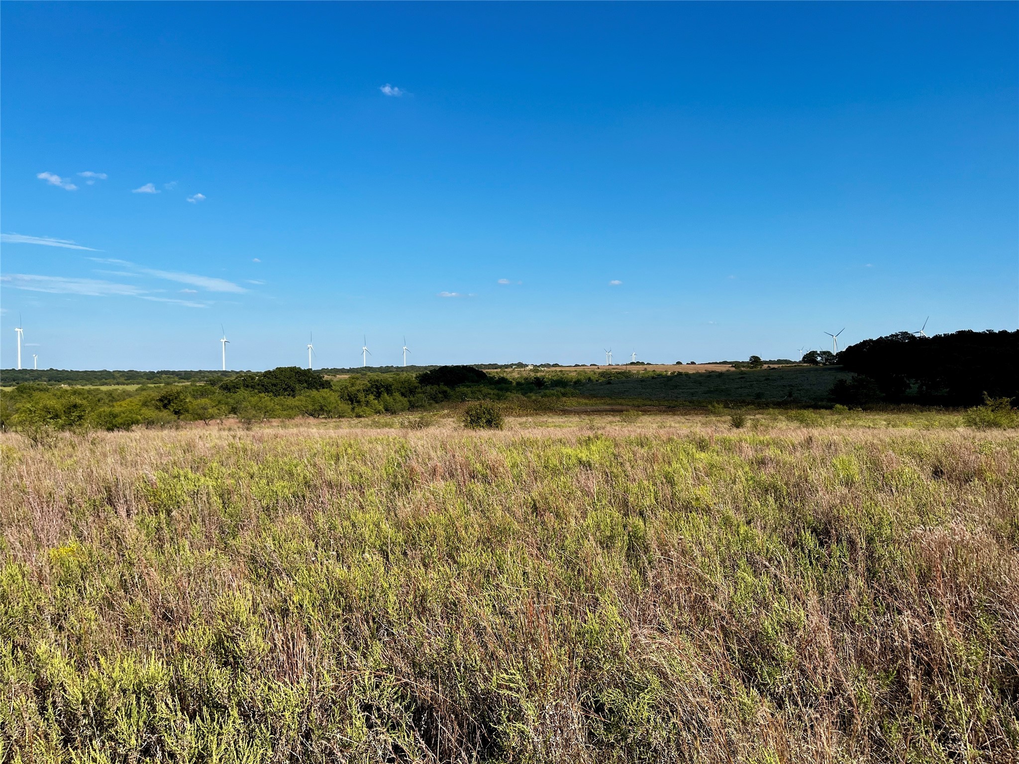 3026 S Farm To Market Road 4 Jacksboro TX 76458