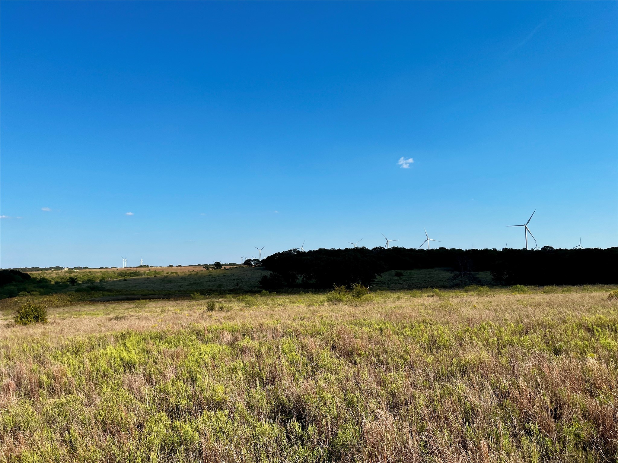 3026 S Farm To Market Road 4 Jacksboro TX 76458