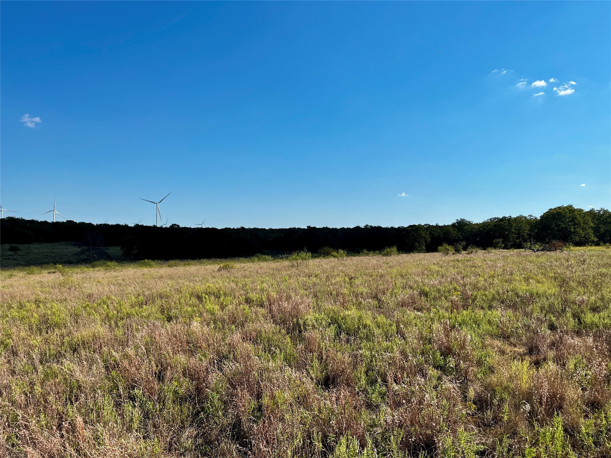 3026 S Farm To Market Road 4 Jacksboro TX 76458