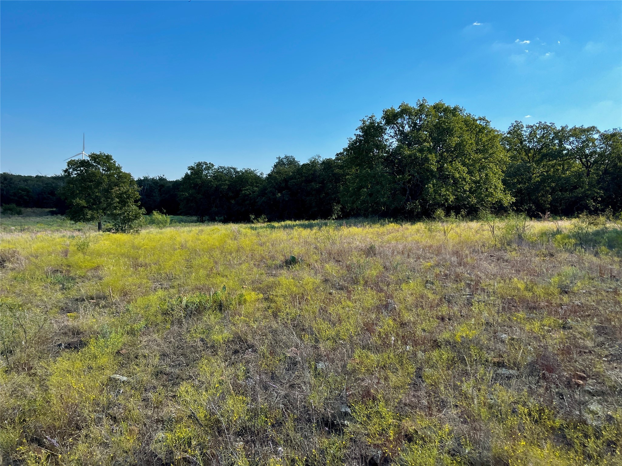 3026 S Farm To Market Road 4 Jacksboro TX 76458