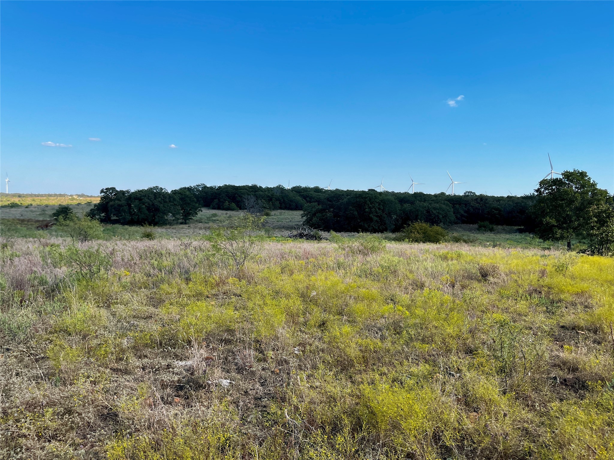 3026 S Farm To Market Road 4 Jacksboro TX 76458