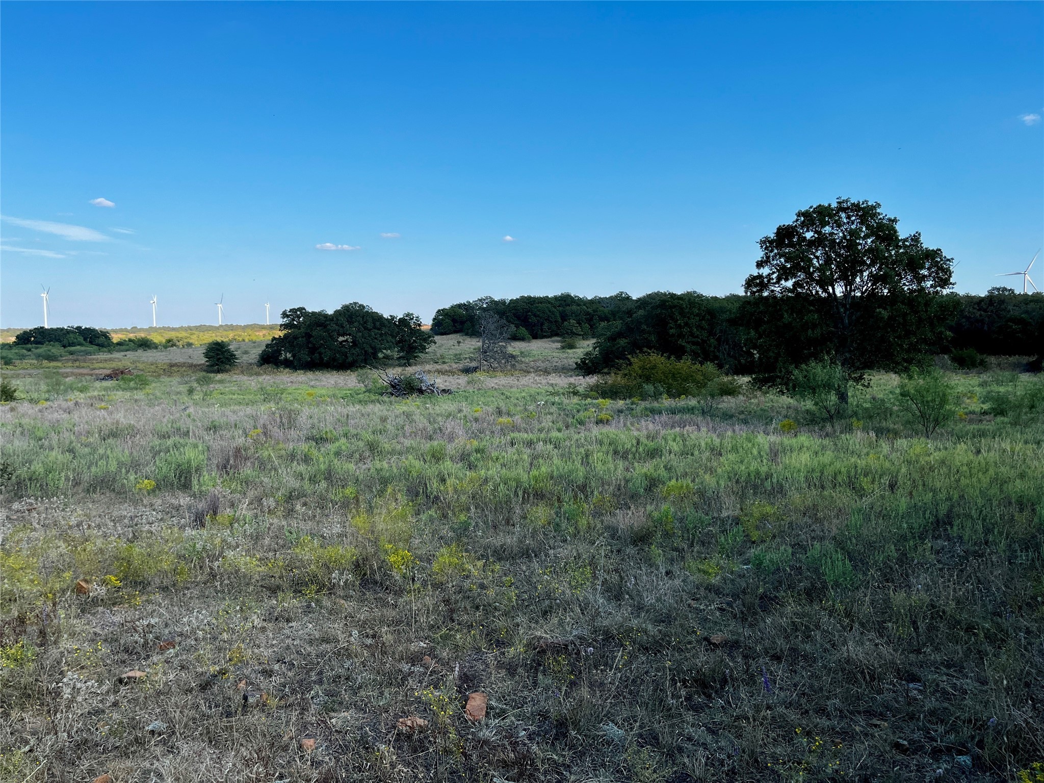 3026 S Farm To Market Road 4 Jacksboro TX 76458