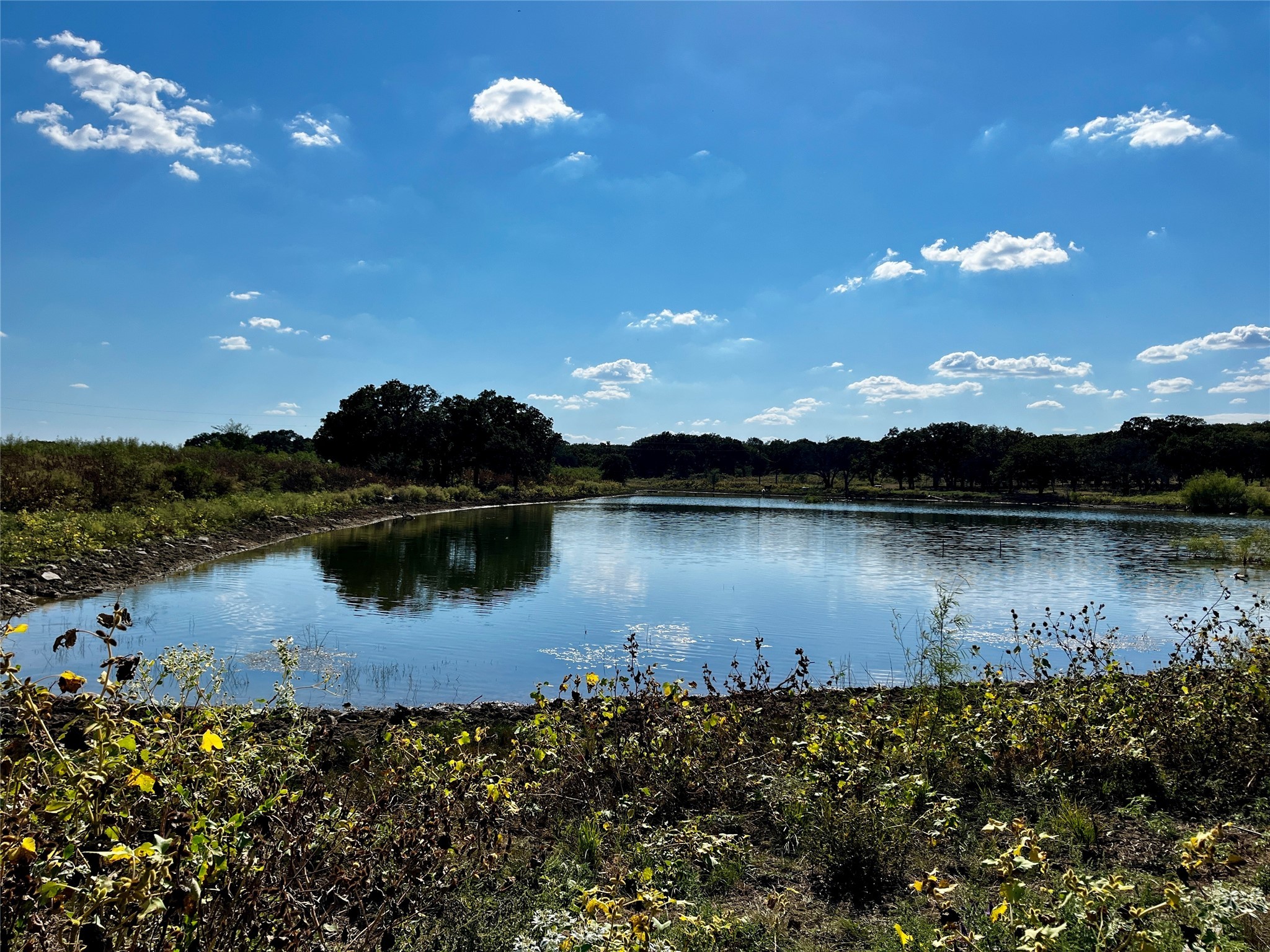 3026 S Farm To Market Road 4 Jacksboro TX 76458